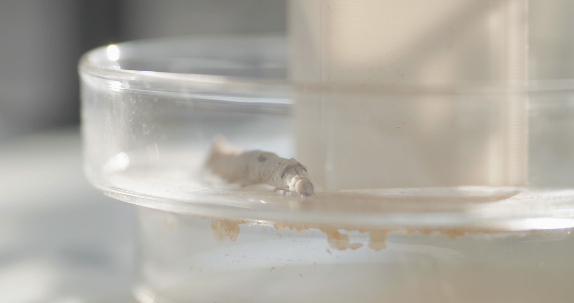 sougwen-2026_recursions_09_silk_courtesyOfTheArtist