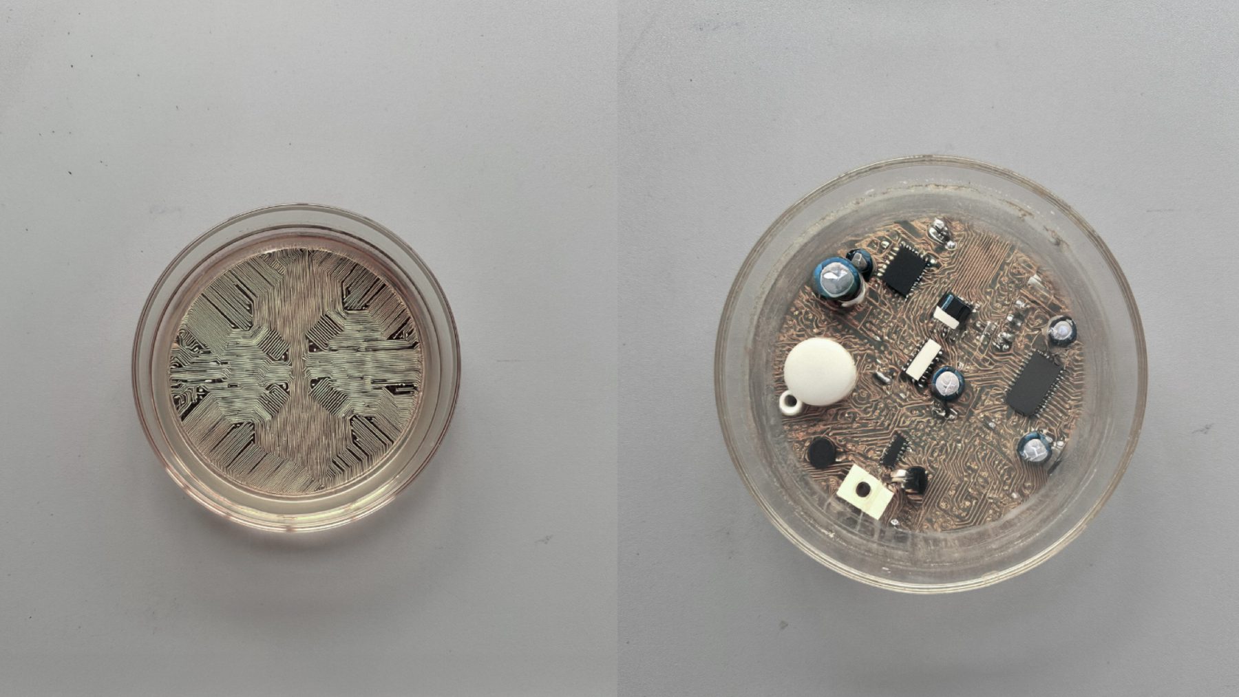 research-petri-circuits
